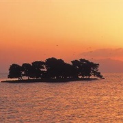 Lake Shinji