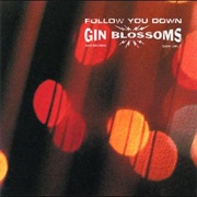 Follow You Down - Gin Blossoms