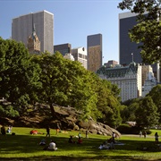 Jogging in NY Central Park
