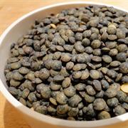 Puy Lentil