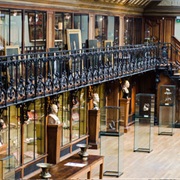 Musée D'histoire De La Médicine