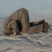 Head in the Sand