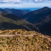 Paparoa Track, New Zealand