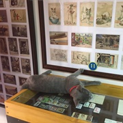 Cats Museum, Kotor, Montenegro