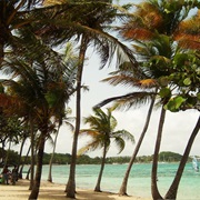 Guadeloupe