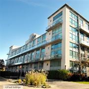 954 King St W (Electra Lofts)