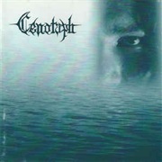 Riding Our Black Oceans