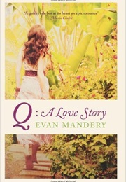 Q (Evan Mandery)