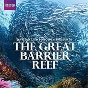 Great Barrier Reef With David Attenborough