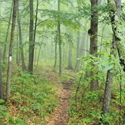 New England National Scenic Trail