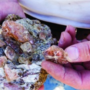 Spectrum Sunstone Mine Oregon