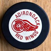 Adirondack Red Wings