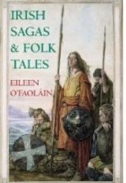 Irish Sagas & Folktales by Eileen O'faolain