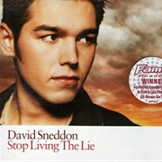 Stop Living the Lie - David Sneddon
