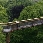 Tree Tops at Kew Gardens