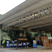 Zoológico De Sao Paulo