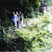 Fishmans - Long Season