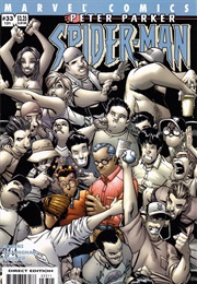 Maybe Next Year (Peter Parker: Spider-Man #33)