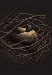 The Pigeon Summer (Brit Mandelo)