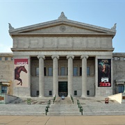 Field Museum of Natural History - Chicago, IL