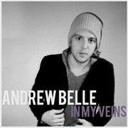 In My Veins - Andrew Belle Feat. Erin McCarley