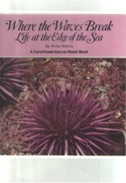 Where the Waves Break (Anita Malnig)