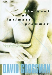 The Book of Intimate Grammar (David Grossman)