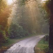 Port Burwell Provincial Park
