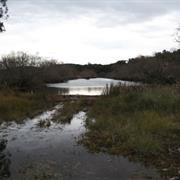 Tarlo River National Park (NSW)
