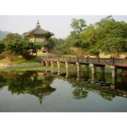Visit the Palaces in Seoul