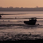 Langstone Harbour