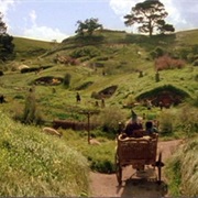The Shire