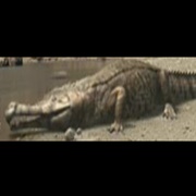 Sarcosuchus