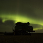Harvest in Tisdale, Saskatchewan