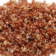 Quinoa