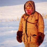 As Cold as -20F / -29C