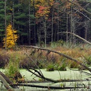 Oxbow National Wildlife Refuge