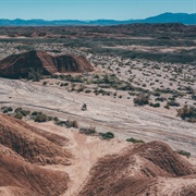 See the Desert in Real Life