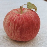 Duchess of Oldenburg