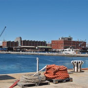 Visit the Naval Base in Simon's Town