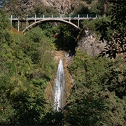 National Botanical Garden of Tbilisi