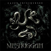 Meshuggah - Catch Thirtythree (2005)