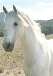 Shadowfax (Lord of the Rings)