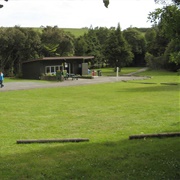 Trounsen Kauri Park - Northland