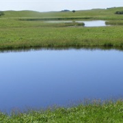 Waubay Wetland Management District, South Dakota