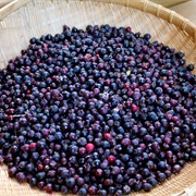 Saskatoon Berries