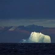 Greenland Sea