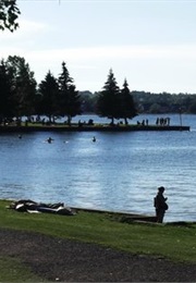 Sylvan Lake Summer (1990)