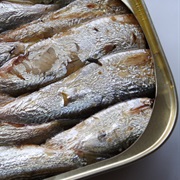 Tinned Sardines