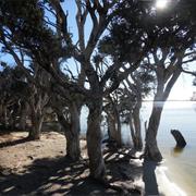 Stokes National Park (WA)